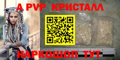 индика Пугачёв