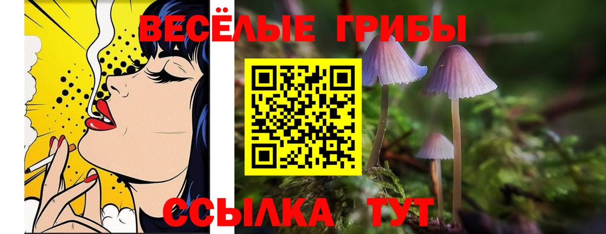 Полевской  Галлюциногенные грибы ЛСД  Вход с VPN 